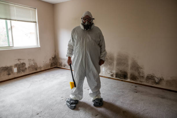 Jefferson Hills, PA Mold Inspection, Removal & Remediation Company